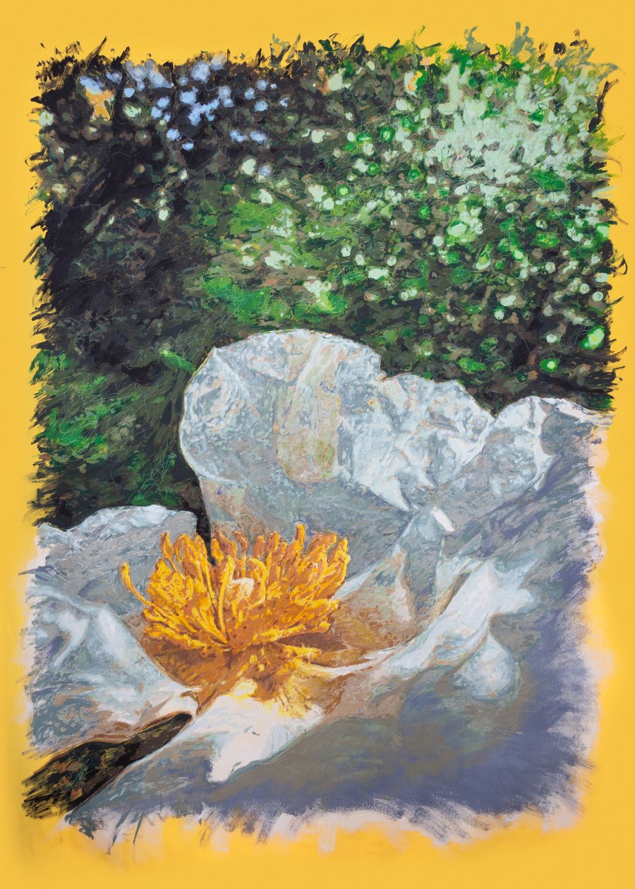 Jaran sisätilat lähellä Tábaraa, 2025 (akryyli ja lyijykynä kankaalle) tekijältä Diego Beyro