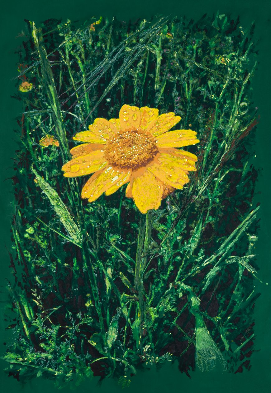 Keltainen margeriitti Caparran lähellä, 2025 (akryyli ja lyijykynä kankaalle) tekijältä Diego Beyro