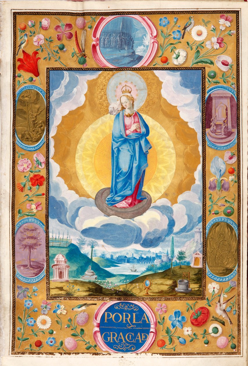 Immacule Conception Arias Pardo de Celan ritarillisuuden täytäntöönpanokelpoisessa peruskirjassa tekijältä Diego Gómez