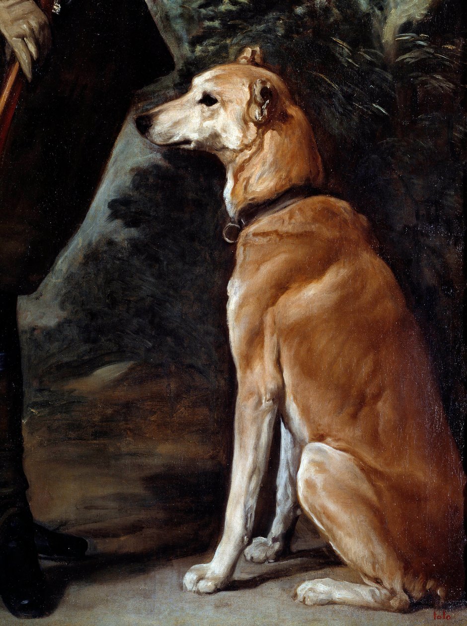 Kardinaali Infante Ferdinand D