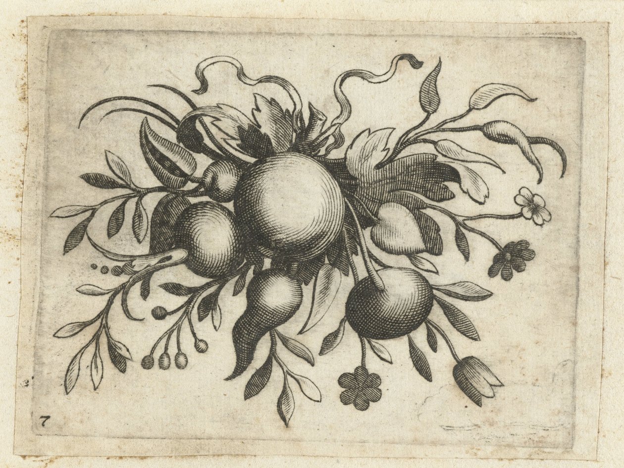 Festoen van Vrutten Matkustamiseen hyödyllinen pieni hedelmäkirja (sarjan nimi) tekijältä Dietrich Krüger (attributed to)
