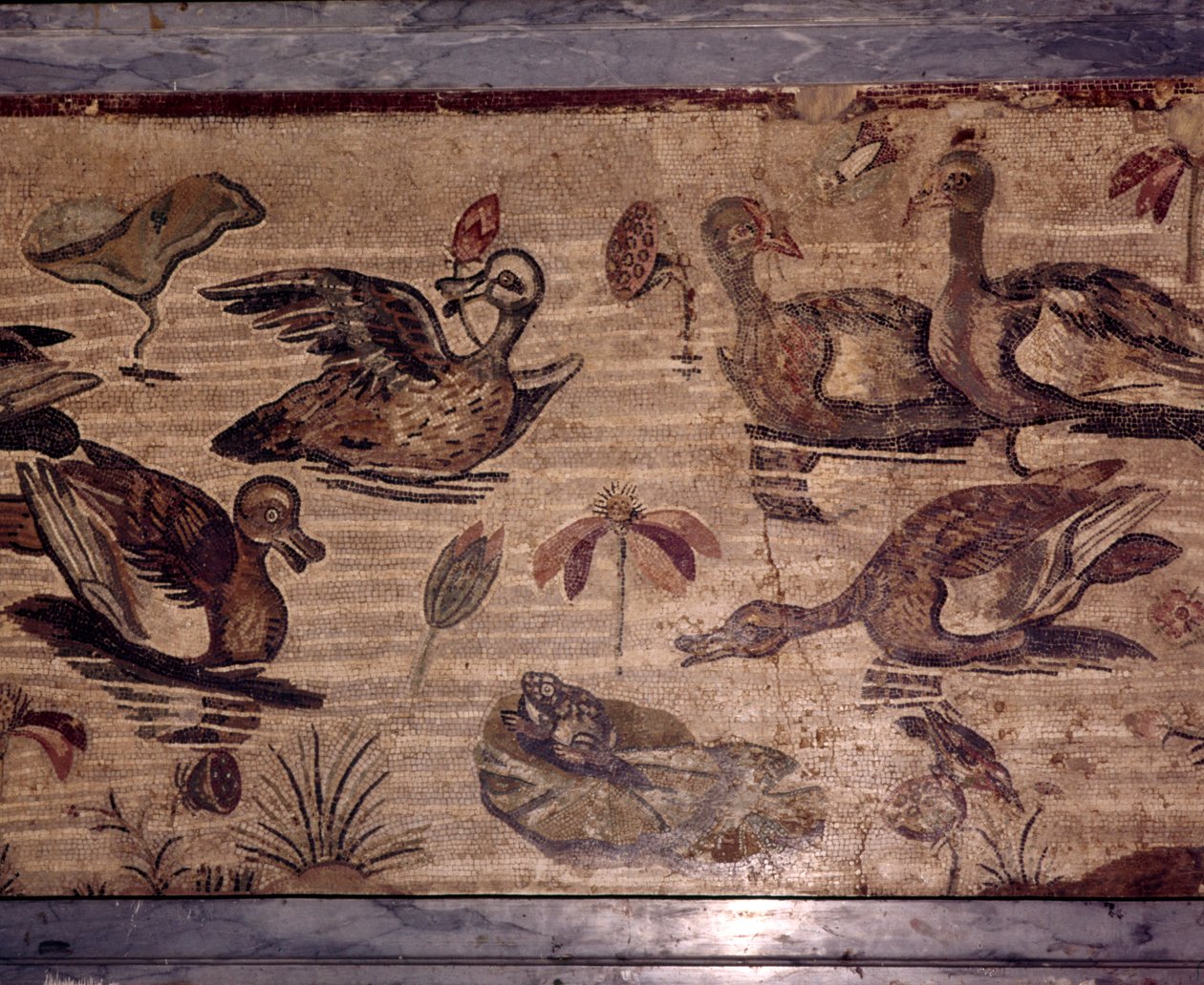Roomalainen mosaiikki Pompejista ankoista ja sammakoista vesipuutarhassa, 1. vuosisadalla tekijältä Dioscurides of Samos