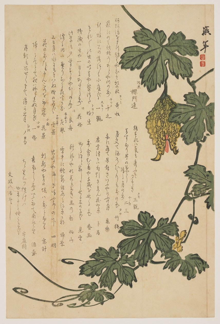 Karvas meloni, 1825 (värillinen puupainatus) tekijältä Dodo Hirotoshi