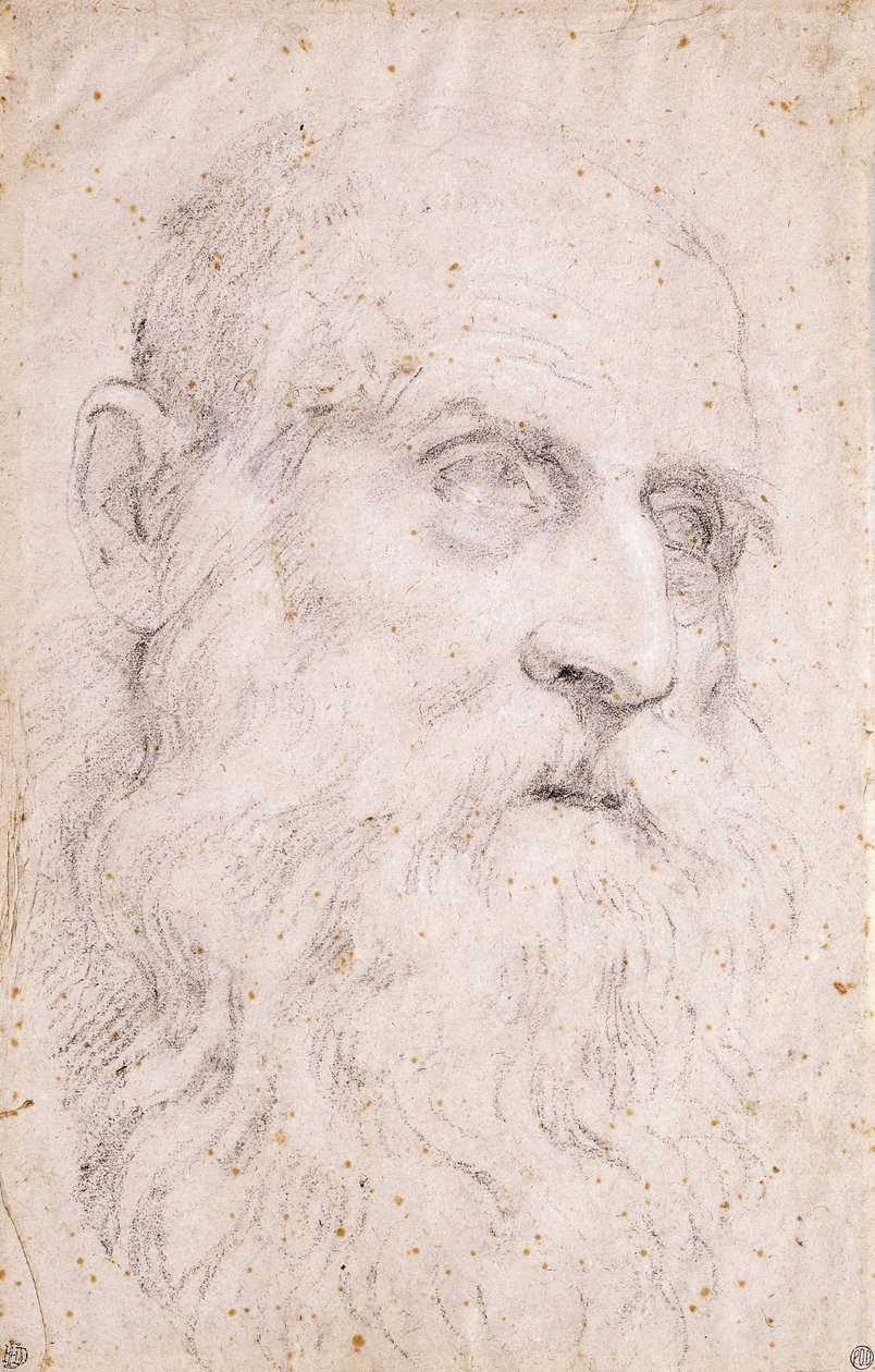 Pyhän Hieromuksen pää tekijältä Domenichino