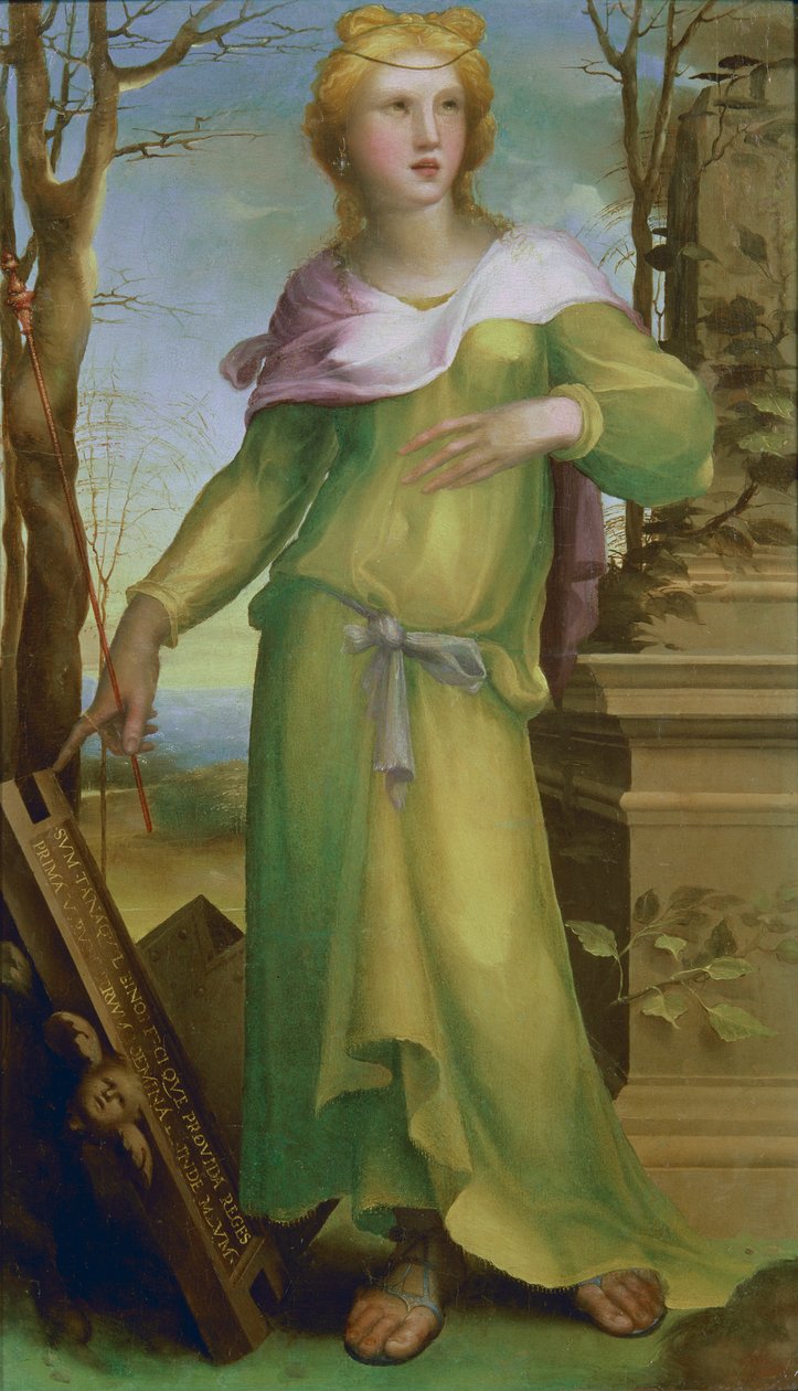 Tanaquil, n. 1520-25 (öljy puulle) tekijältä Domenico di Pace Beccafumi  