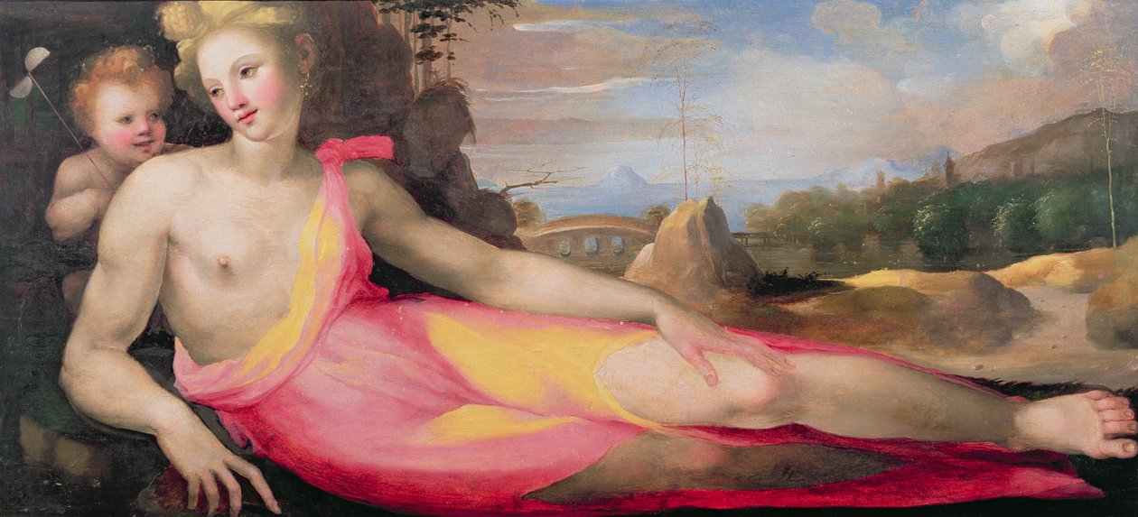 Venus ja Cupid, n. 1519 (paneeli) tekijältä Domenico di Pace Beccafumi  