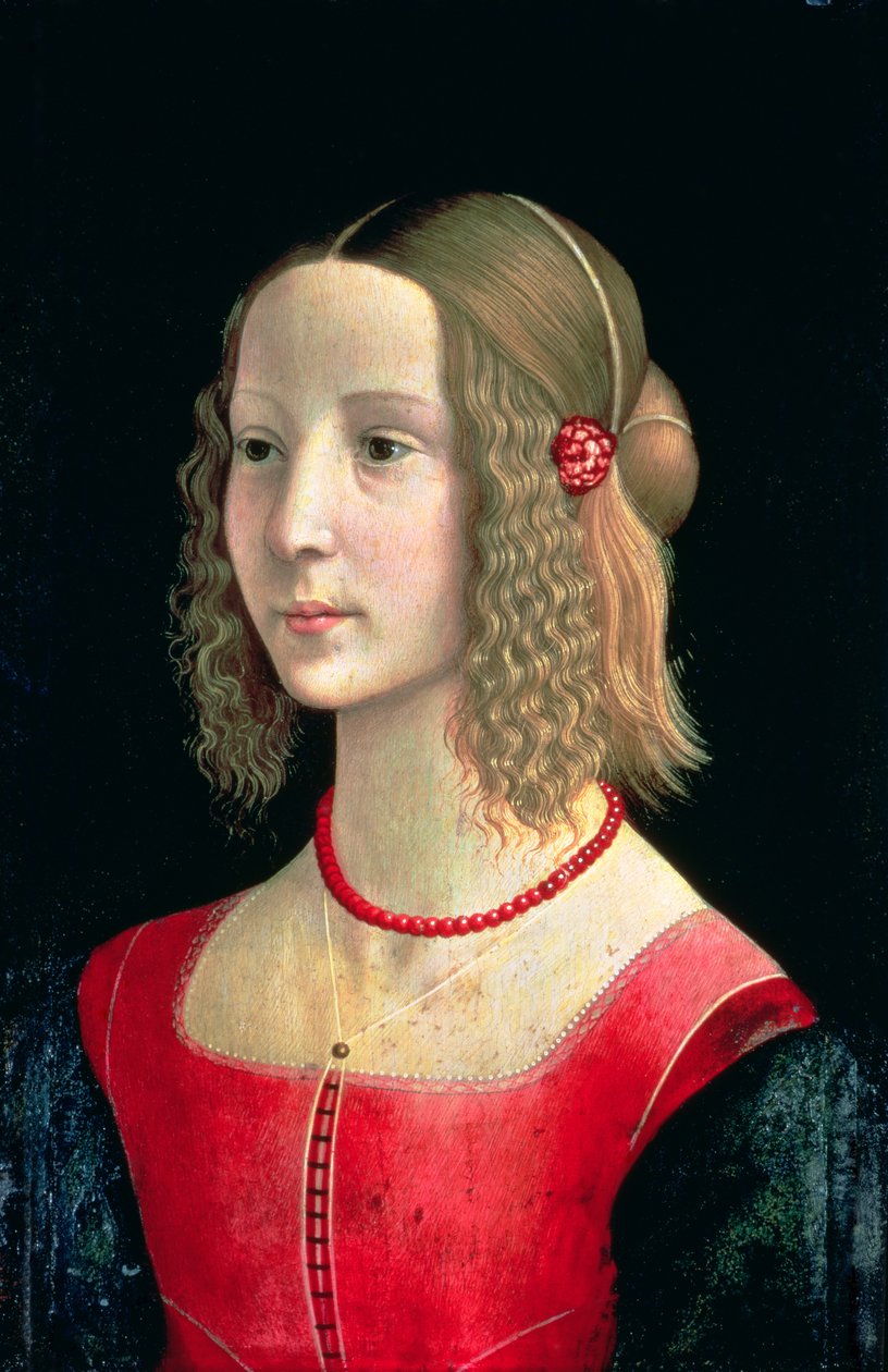 Tytön muotokuva, noin 1490 (tempera paneelille). tekijältä Domenico Ghirlandaio