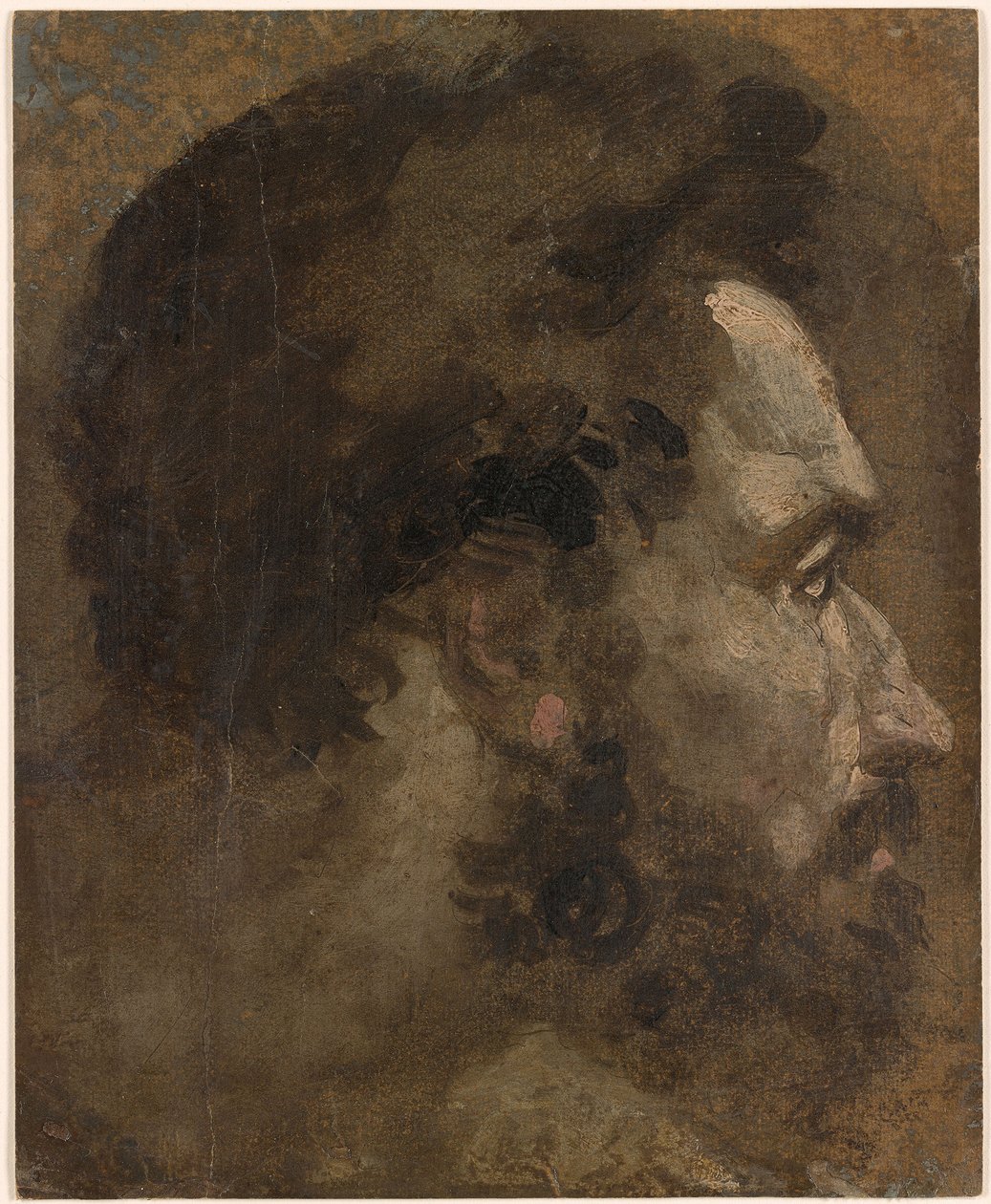 Beccafumi - Parrakas mies pää profiilissa oikealle, n. 1530-1535. tekijältä Domenico Beccafumi