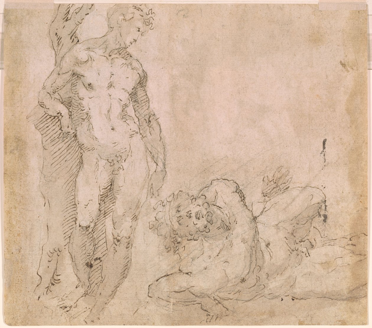 Beccafumi - Verso Puunrunkoa vasten nojaava miesakti ja makuuasennossa oleva miesakti, pää taaksepäin heitetty, n. 1530-1540. tekijältä Domenico Beccafumi