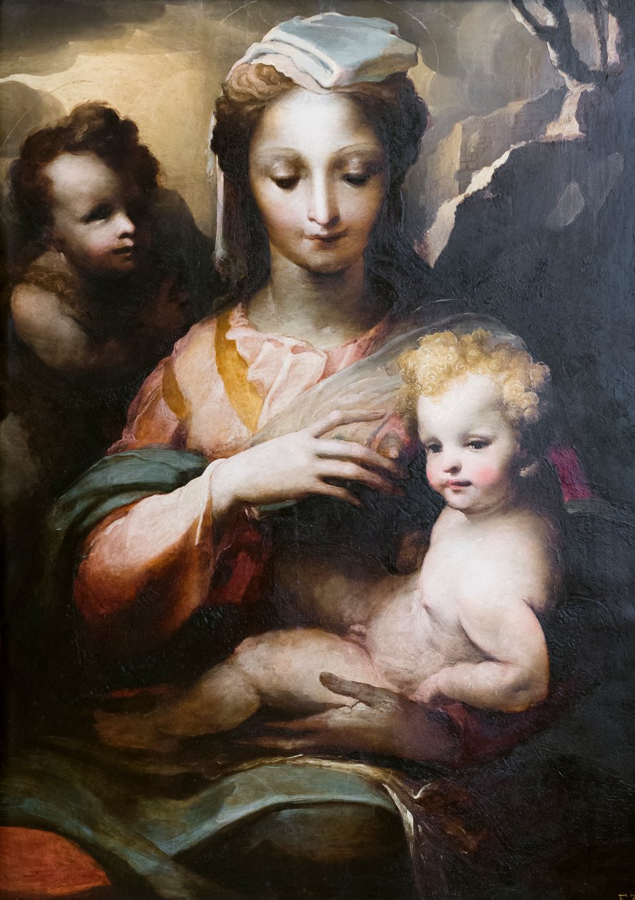 Madonna ja lapsi nuoren pyhimyksen Johannes Kastajan kanssa tekijältä Domenico Beccafumi