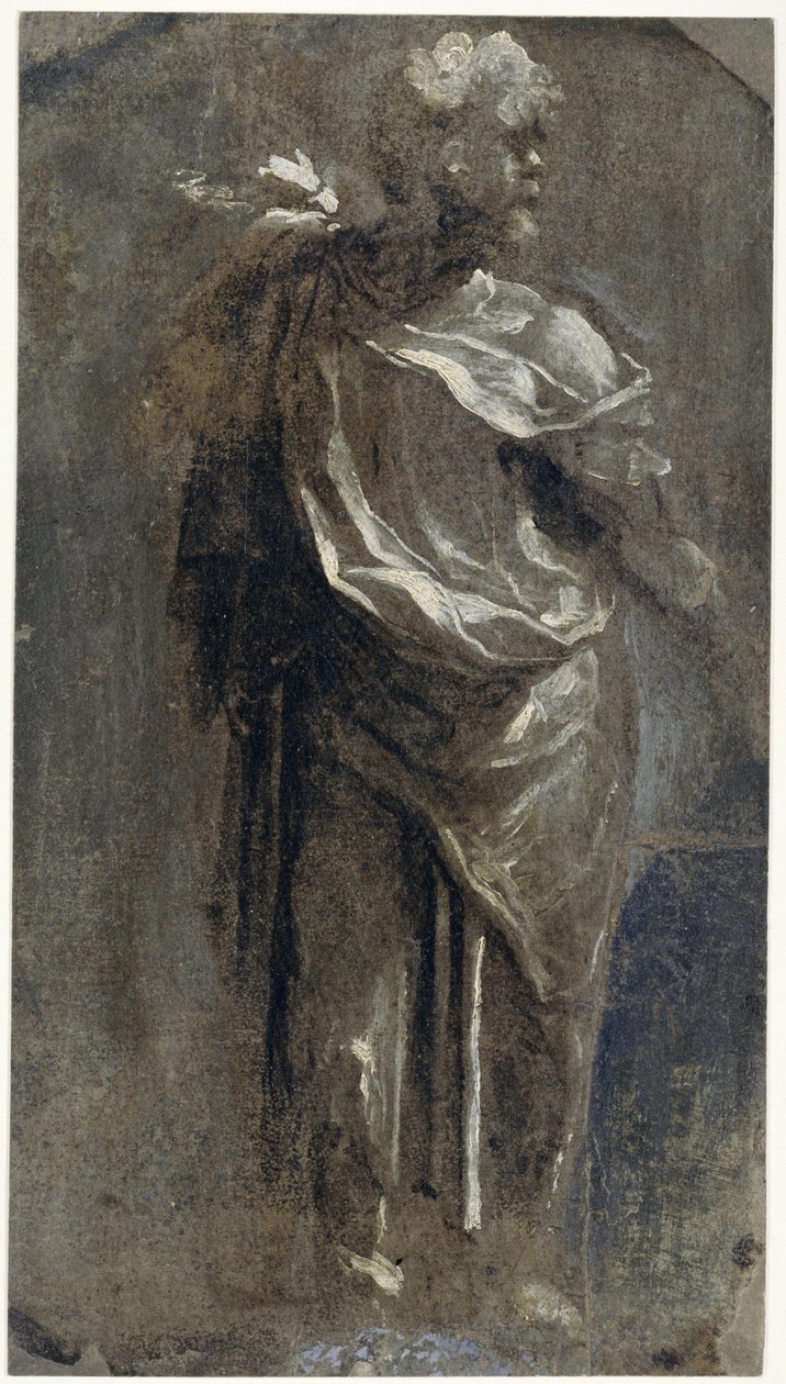 Publius Mutius tekijältä Domenico Beccafumi