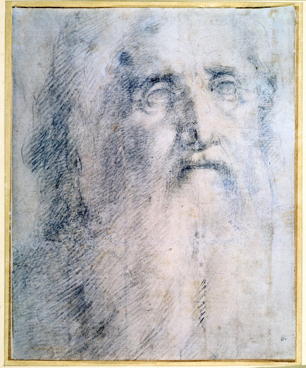 "Tutkimus vanhan miehen päästä, jolla on parta", c1535 tekijältä Domenico Beccafumi
