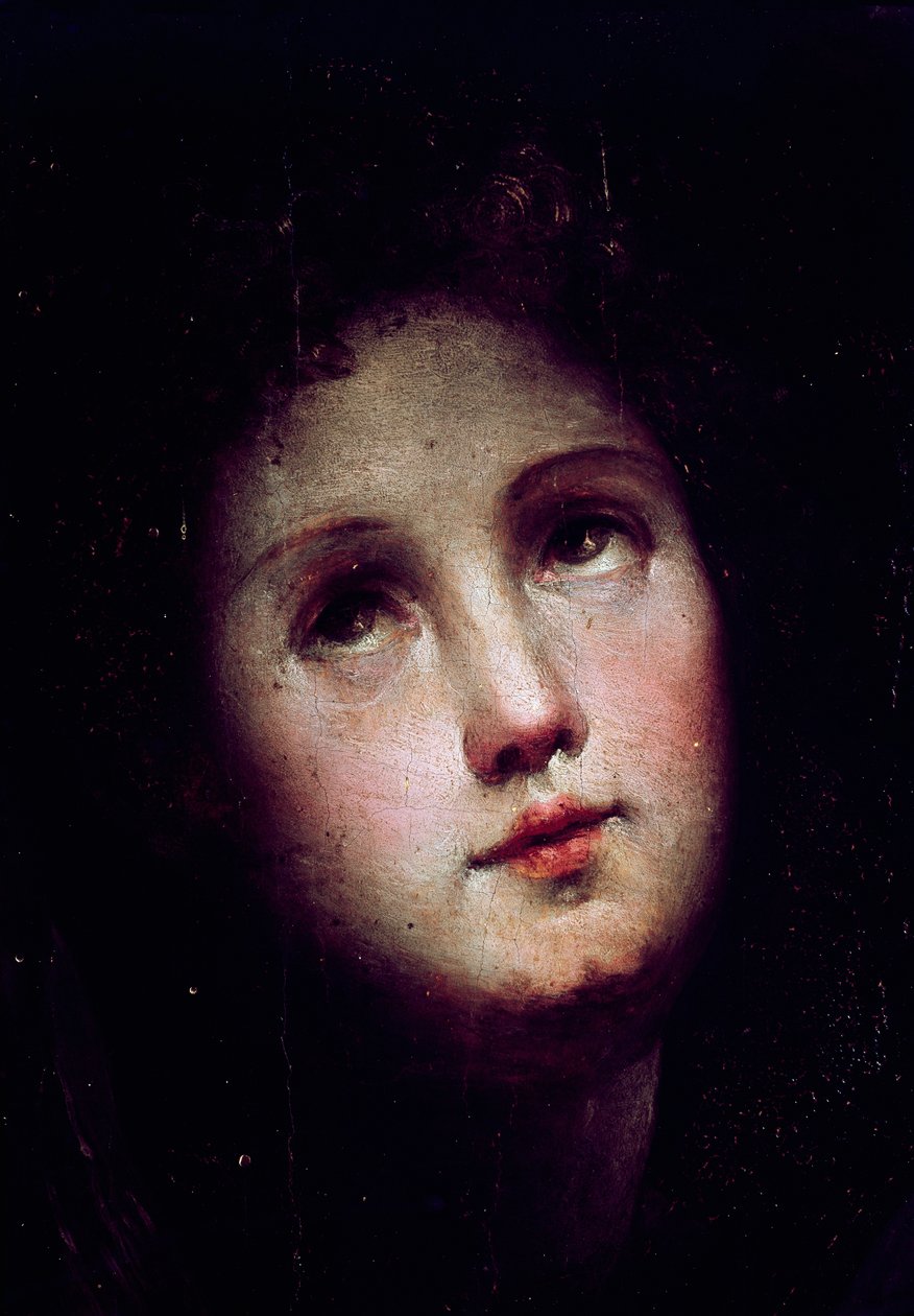 Kristuksen laskeutuminen epävarmuuteen. Yksityiskohta nuoren miehen kasvoista sukeltaa pimeään (pimeään) ja katselee taivasta. Domenico Beccafumin (1486-1551) maalaus tekijältä Domenico Beccafumi