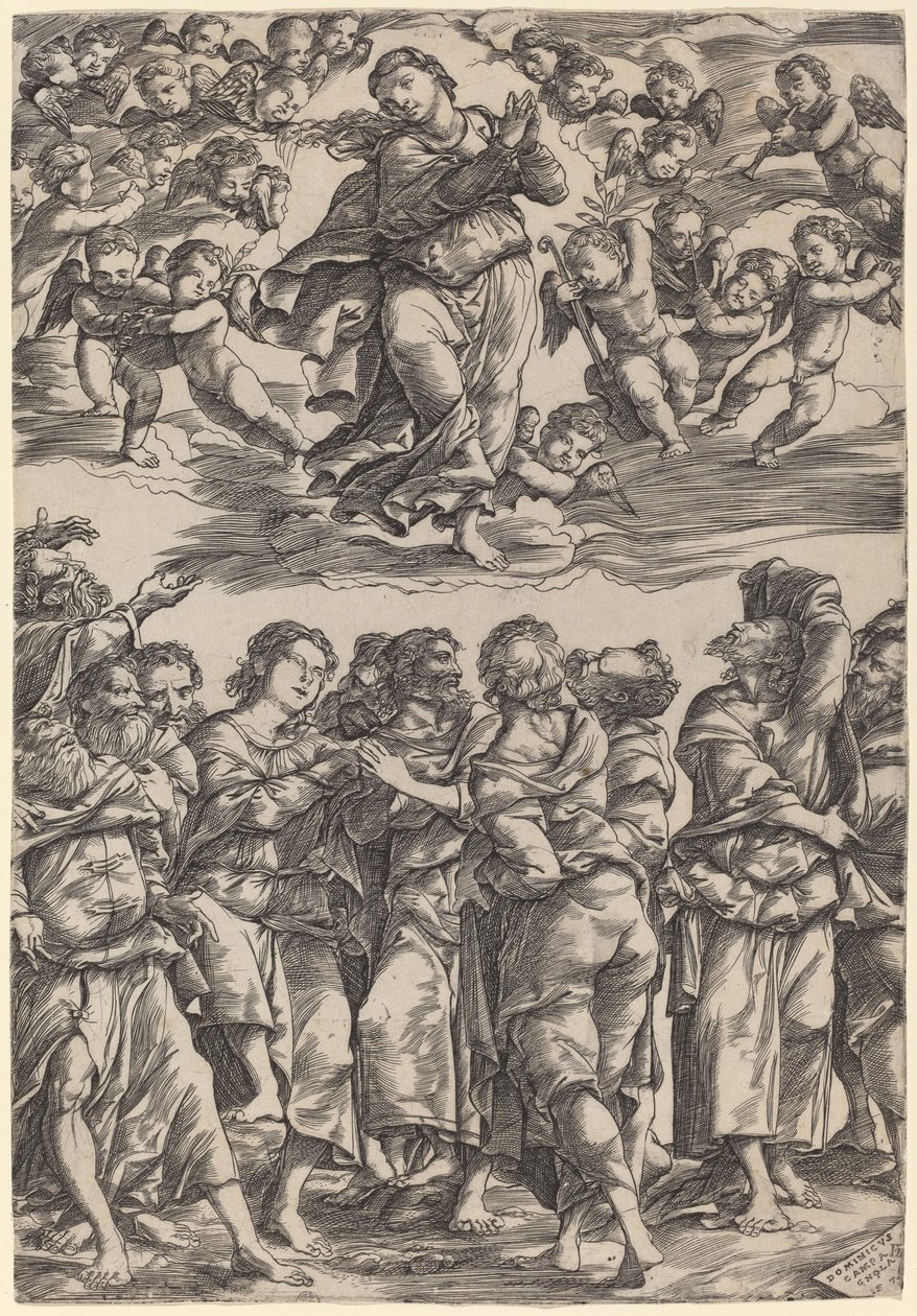 Neitsyt taivaaseenastuminen tekijältä Domenico Campagnola