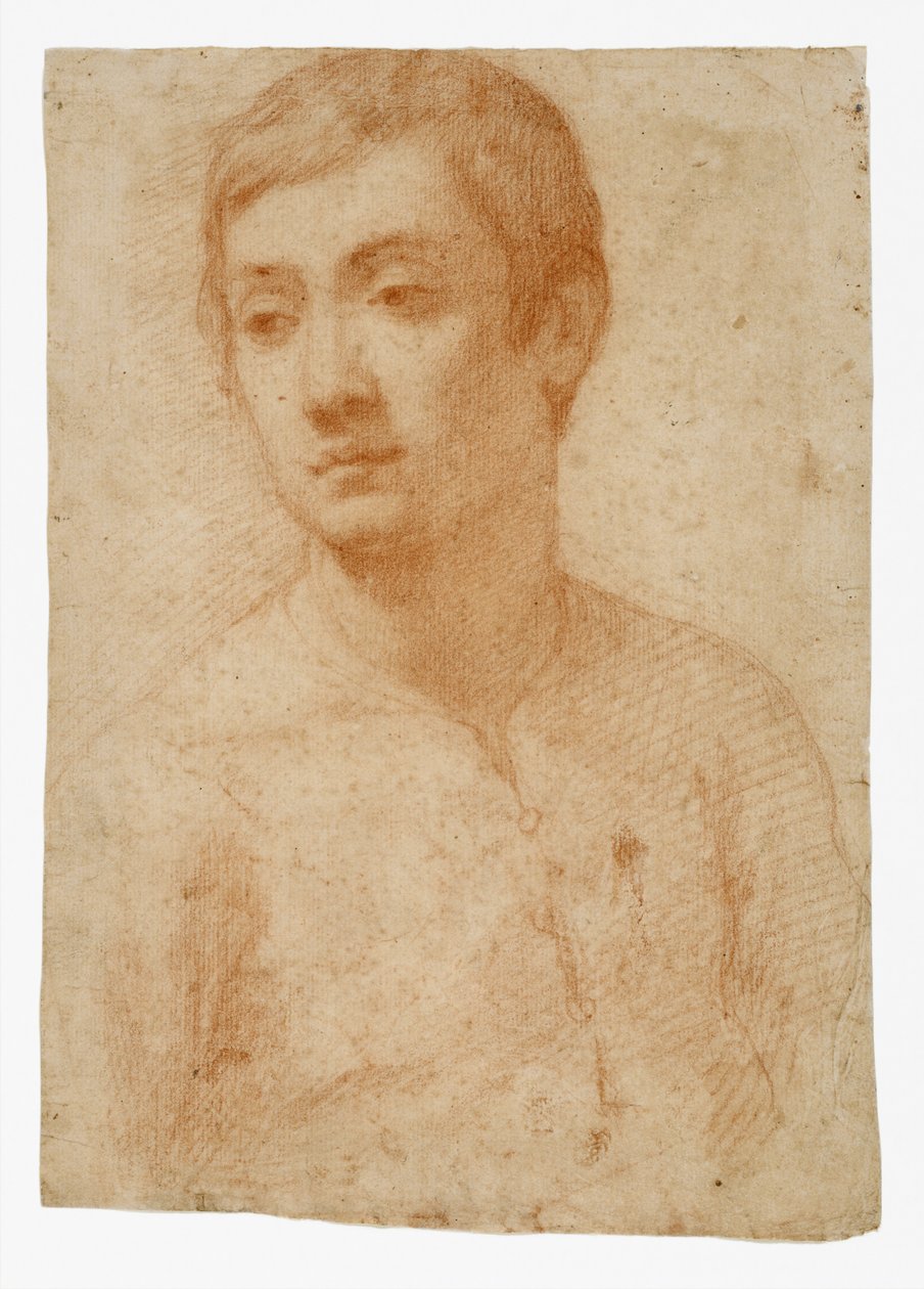 Nuoren pää, n. 1600-25 (punainen liitu paperille) tekijältä Domenico Cresti