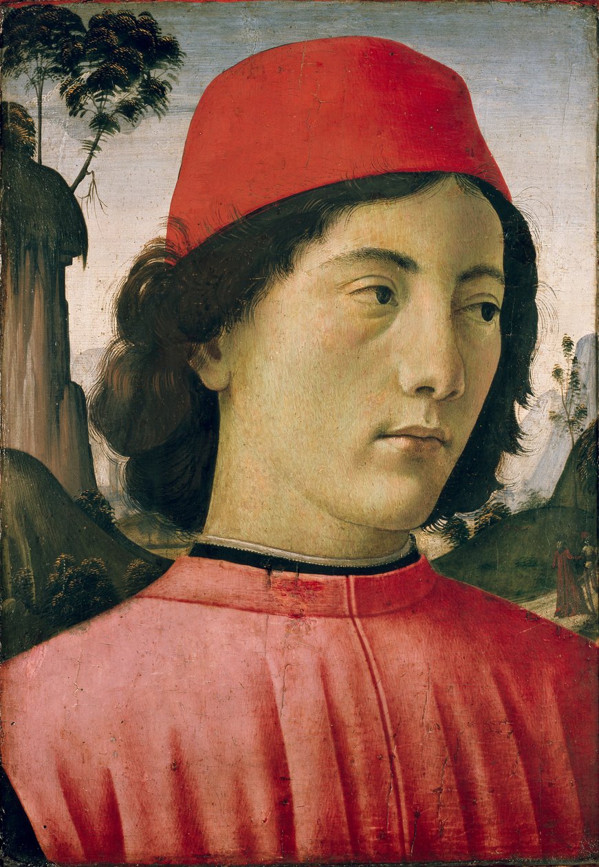 Nuoren miehen muotokuva, c1477-1478 tekijältä Domenico Ghirlandaio