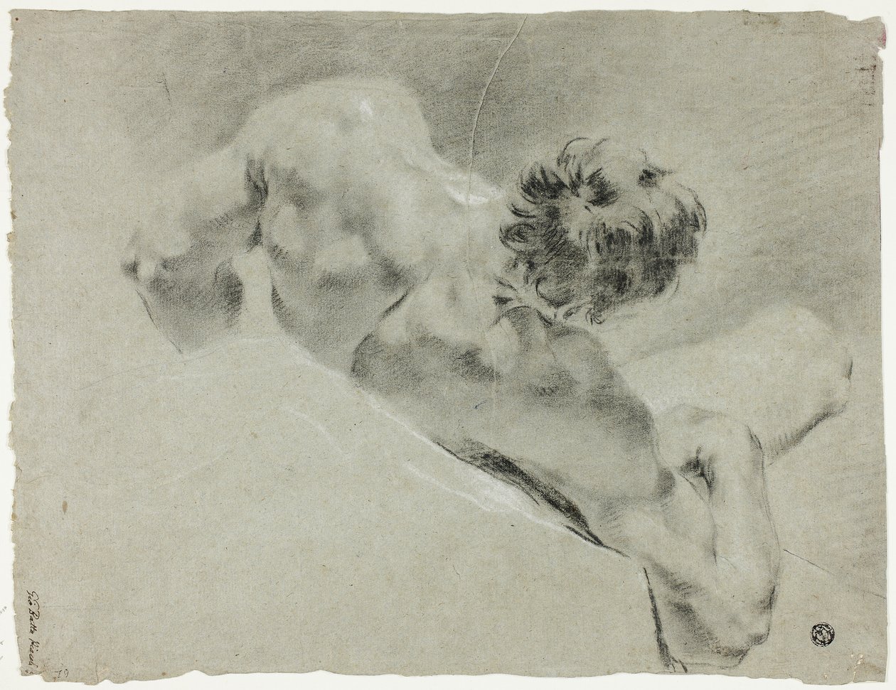 Mies alasti takaapäin tekijältä Domenico Maggiotto