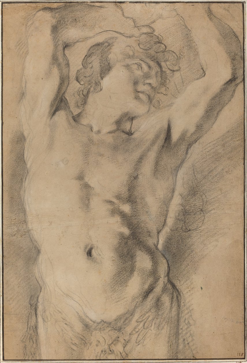 Miespuolinen Herm tekijältä Domenico Maria Canuti