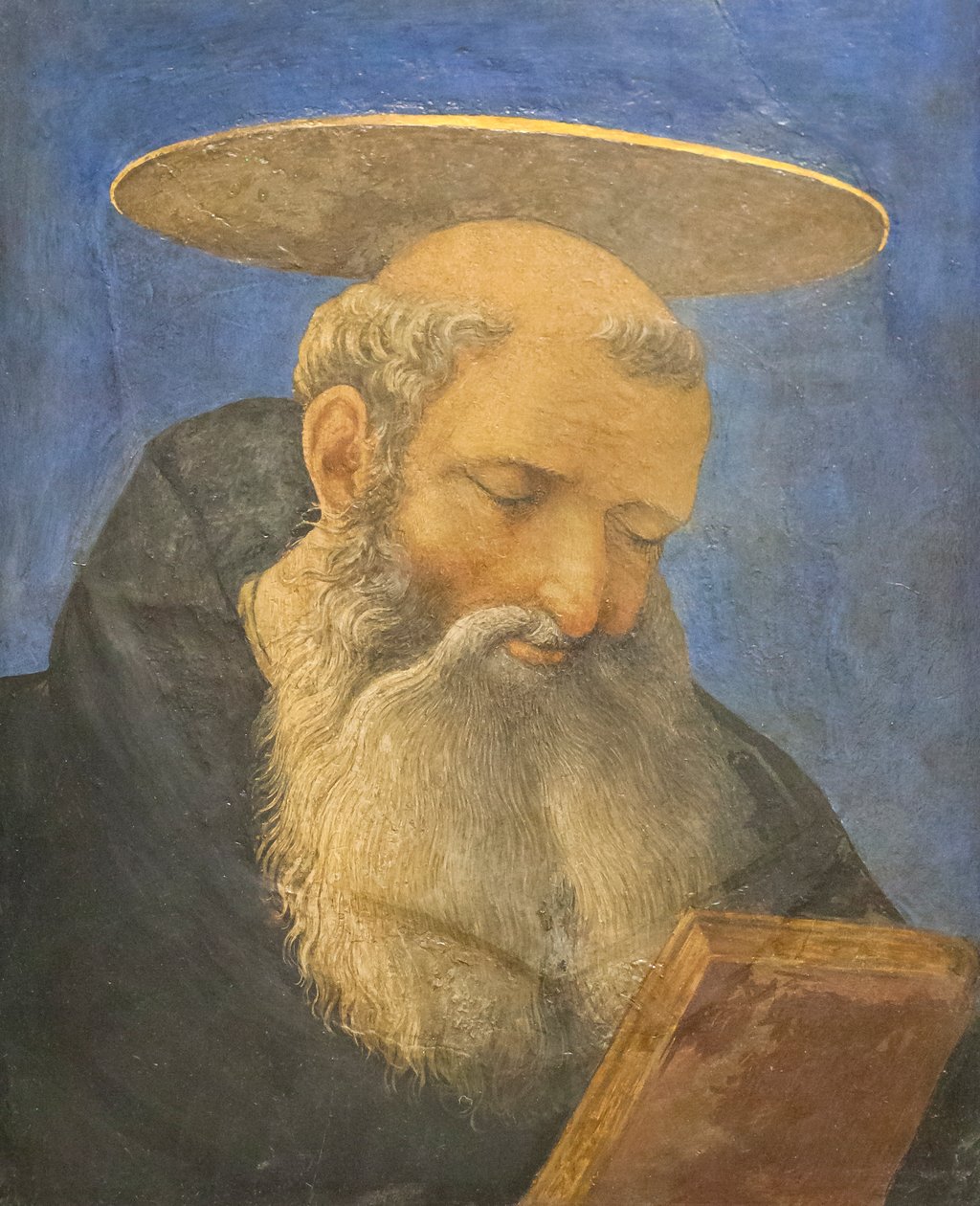 Tonsuroidun, parrakkaan pyhimyksen pää, n. 1440-1444 (tempera puulla) tekijältä Domenico Veneziano