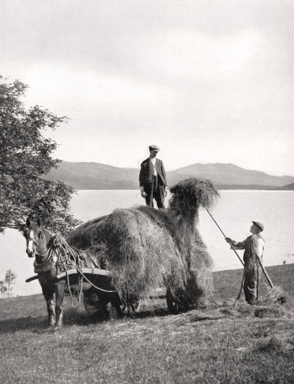 Heinän lastaus vaunuun Loch Lomondin rannalla, Skotlannissa, 1924-1926. tekijältä Donald McLeish