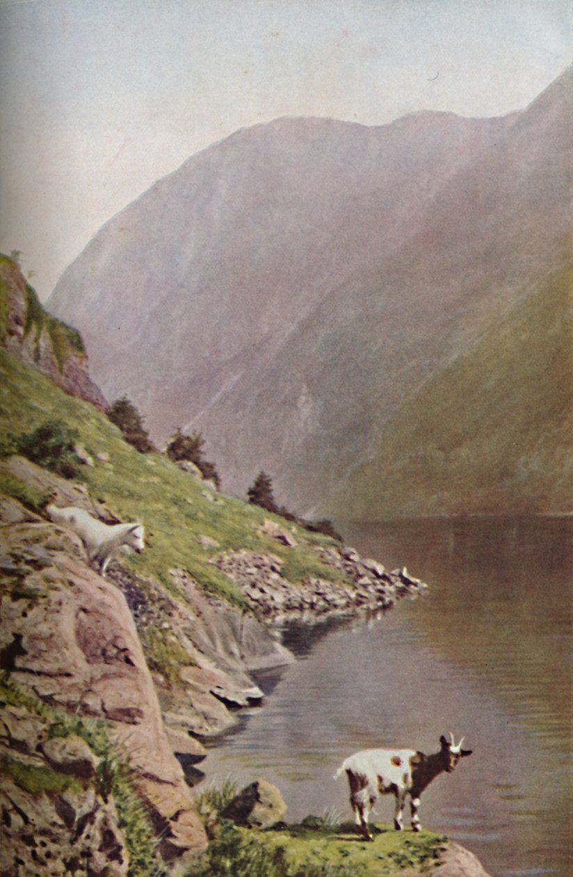 Norja, 1930-luku tekijältä Donald McLeish