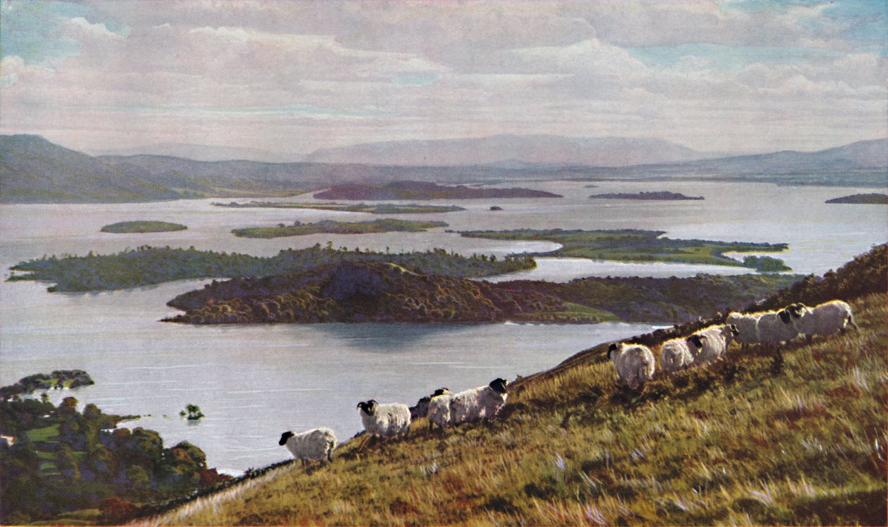Skotlanti, 1930-luku tekijältä Donald McLeish
