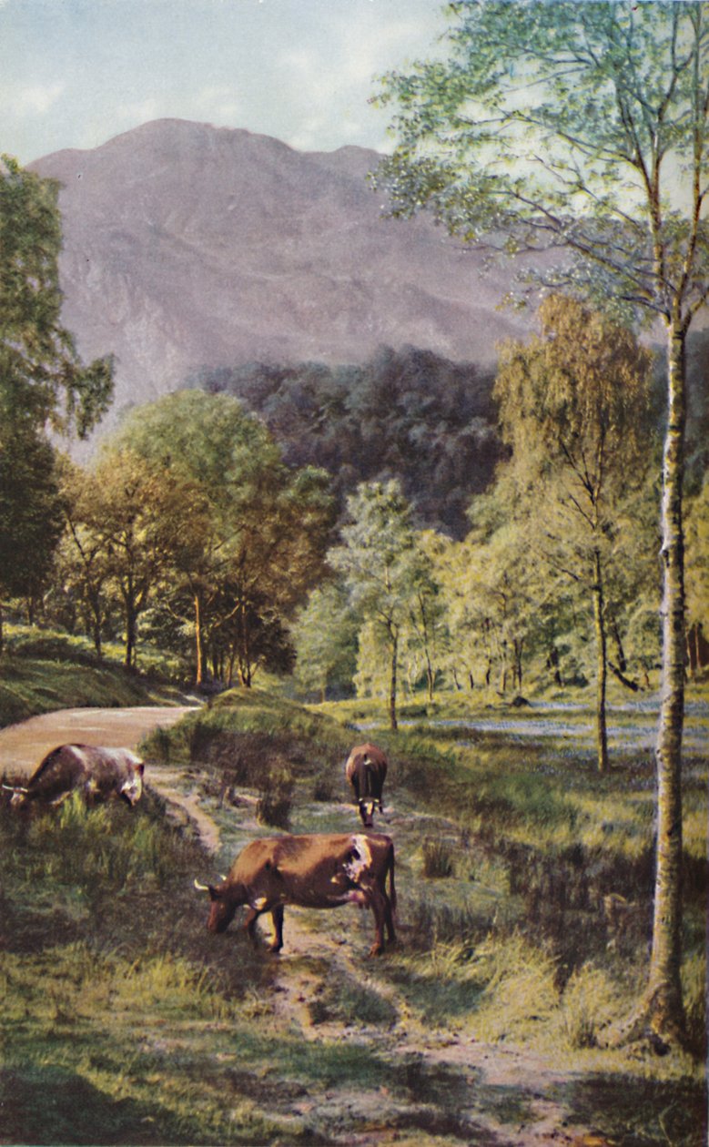 Skotlanti, 1930-luku tekijältä Donald McLeish