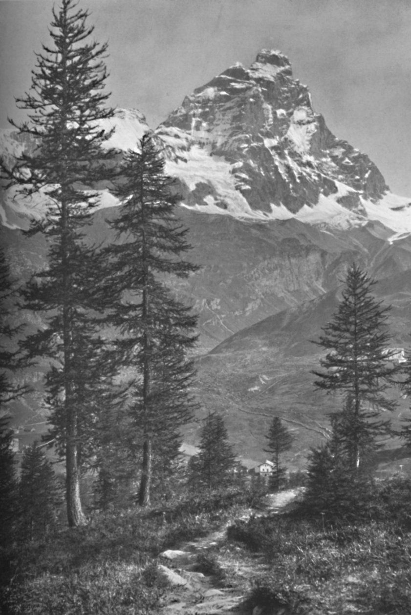 Matterhorn Italian puolelta, Brueilin metsä, 1917 tekijältä Donald McLeish