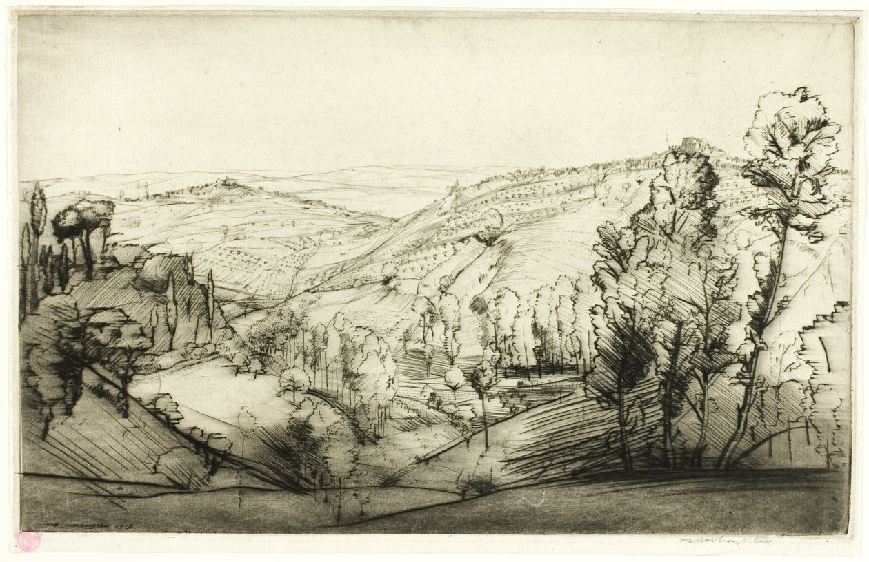 San Gimignanon kentät tekijältä Donald Shaw MacLaughlan