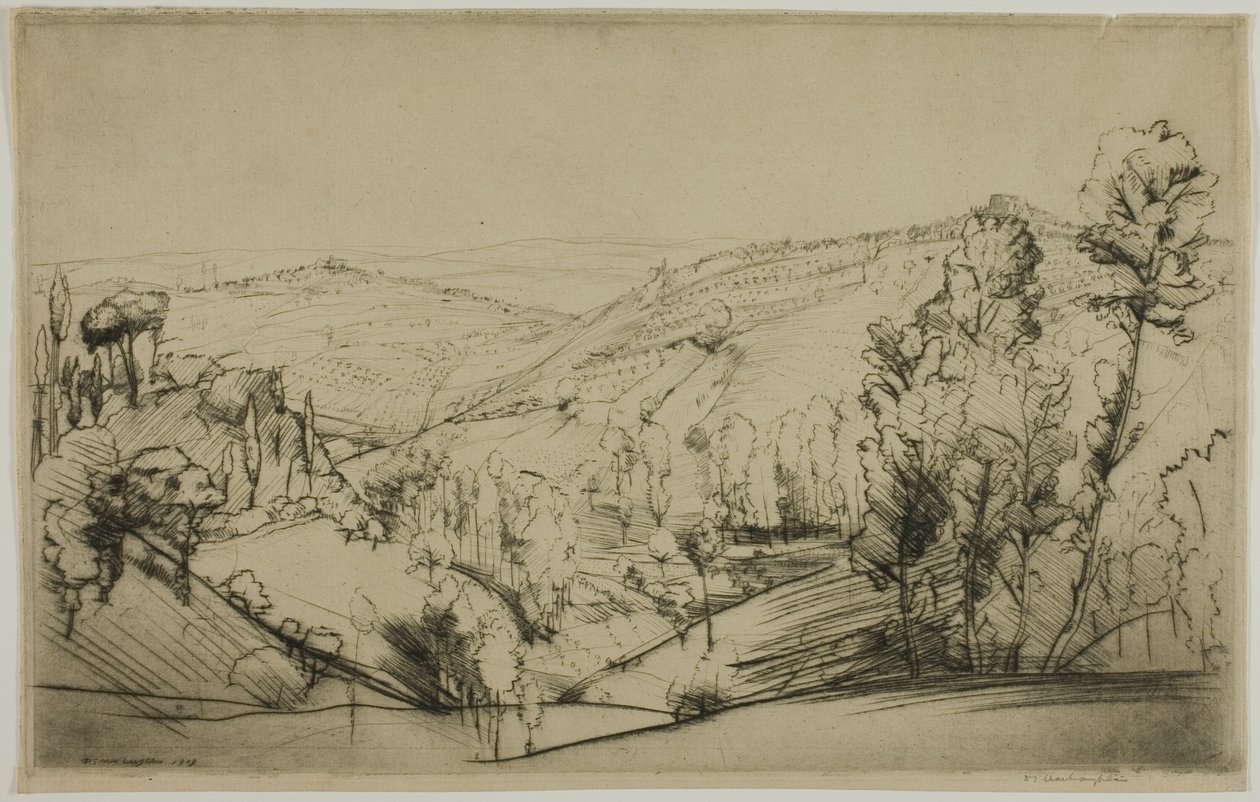 San Gimignanon kentät tekijältä Donald Shaw MacLaughlan