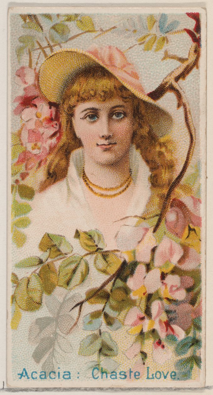 Acacia: Chaste Love, sarjasta Floral Beauties and Language of Flowers N75 Duk..., 1892. tekijältä Donaldson Brothers
