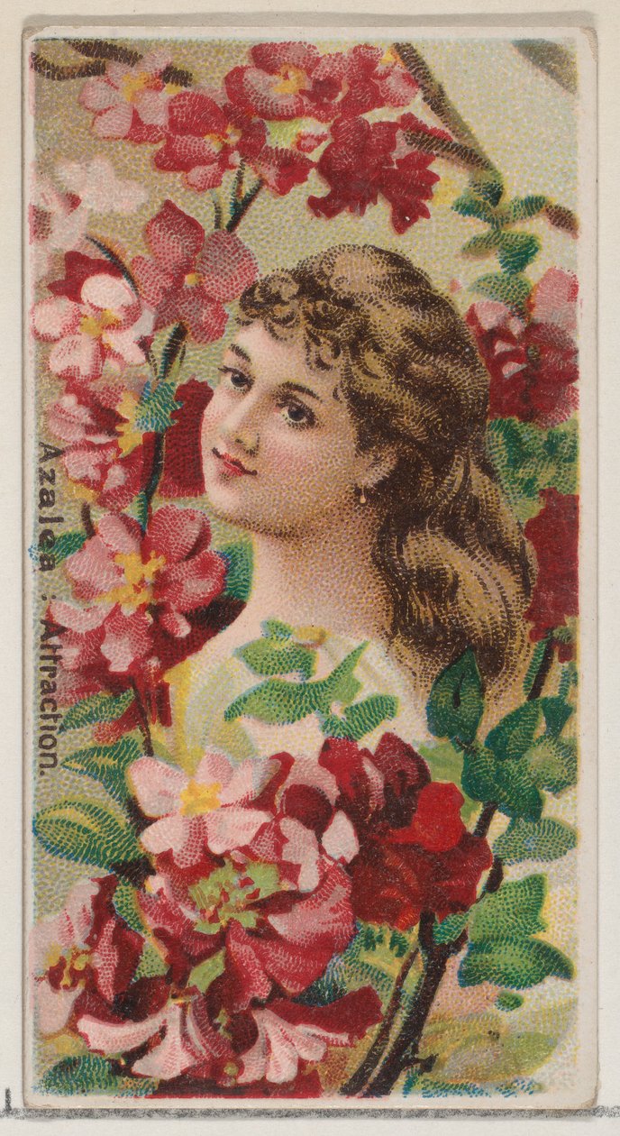Azalea: Attraction, sarjasta Floral Beauties and Language of Flowers N75 for Duke..., 1892. tekijältä Donaldson Brothers