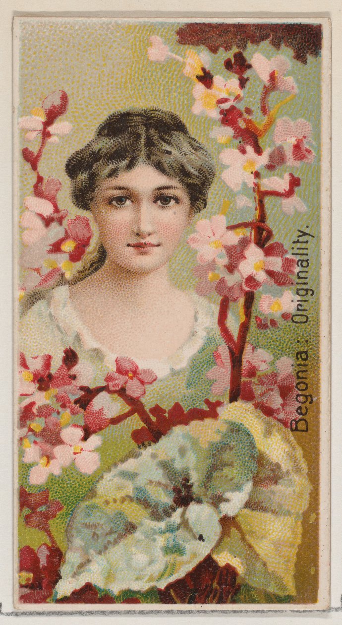 Begonia: Originality, sarjasta Floral Beauties and Language of Flowers N75 for Du..., 1892. tekijältä Donaldson Brothers