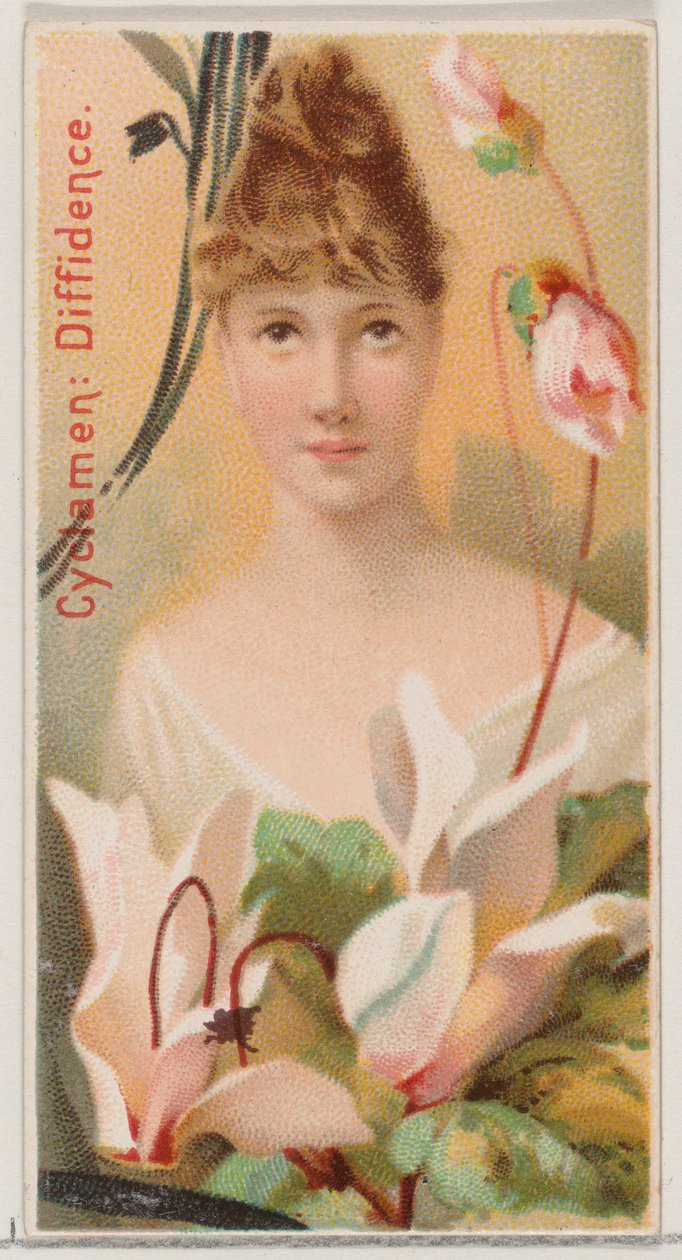 Cyclamen: Diffidence, sarjasta Floral Beauties and Language of Flowers N75 for Du..., 1892. tekijältä Donaldson Brothers