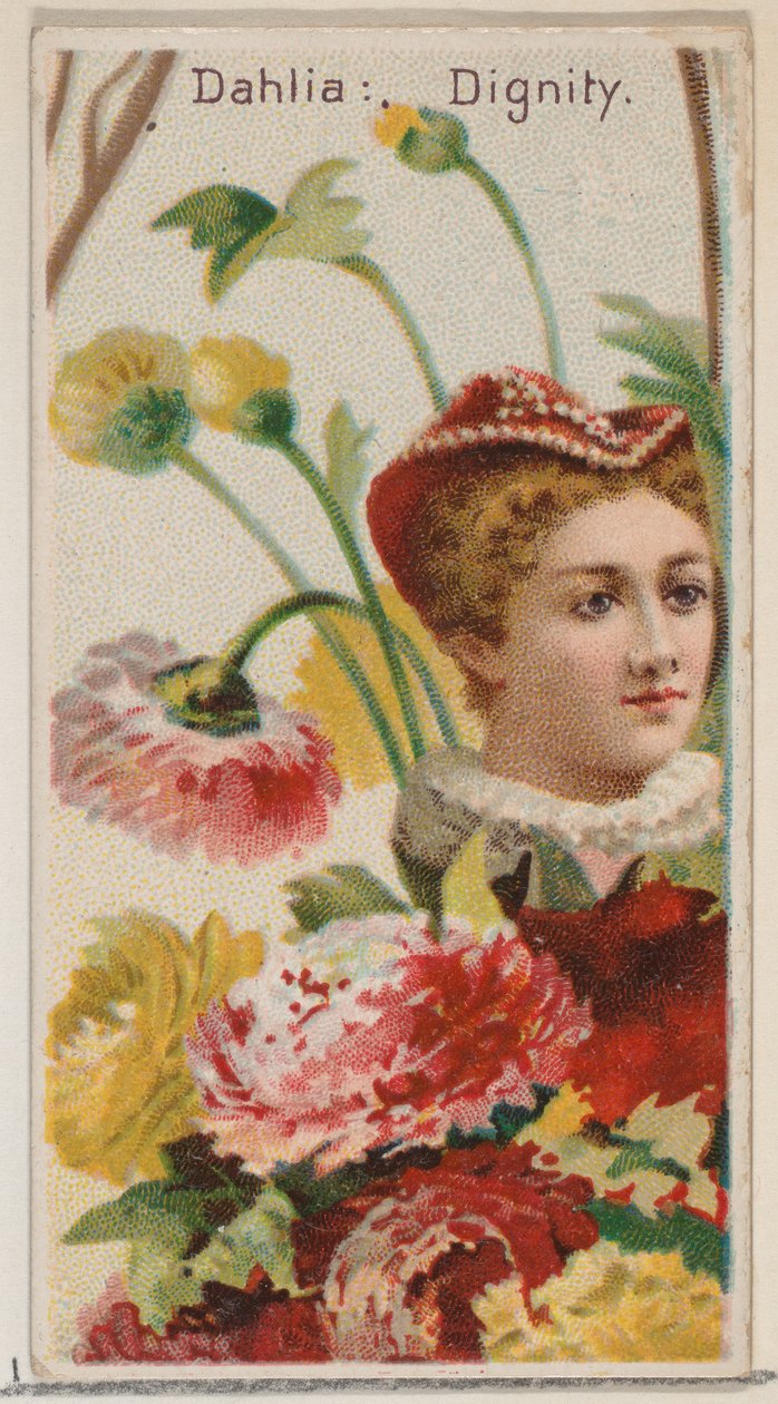 Dahlia: Dignity, sarjasta Floral Beauties and Language of Flowers N75 Duke br..., 1892. tekijältä Donaldson Brothers