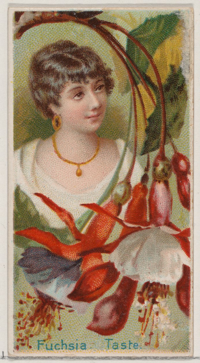 Fuchsia: Taste, sarjasta Floral Beauties and Language of Flowers N75 for Duke bra..., 1892. tekijältä Donaldson Brothers