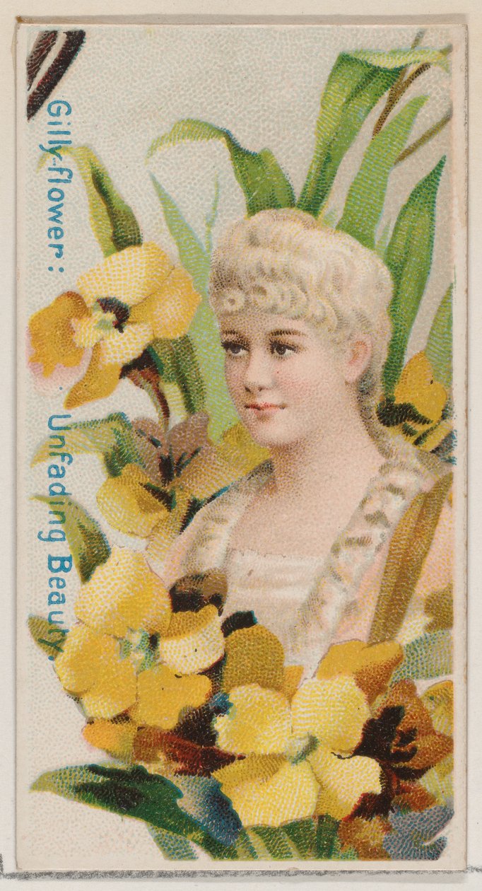 Gilly-flower: Unfading Beauty, sarjasta Floral Beauties and Language of Flowers N7..., 1892. tekijältä Donaldson Brothers