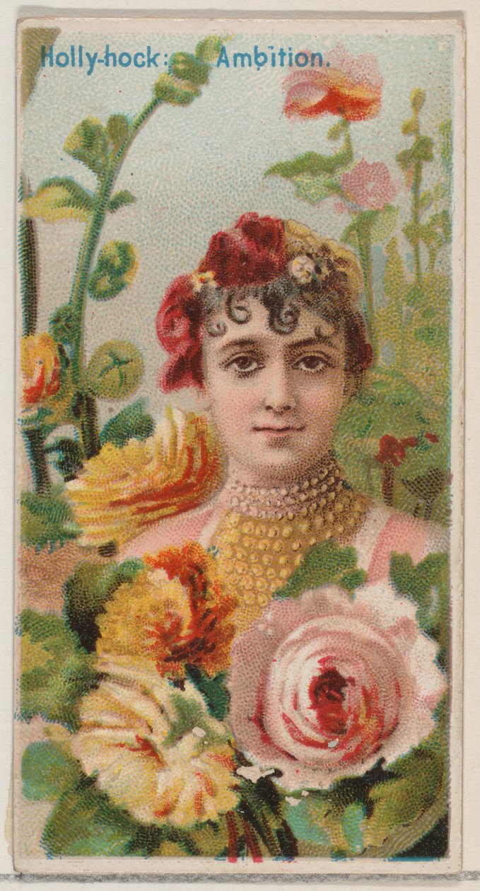 Hollyhock: Ambition, sarjasta Floral Beauties and Language of Flowers N75 Duk..., 1892. tekijältä Donaldson Brothers
