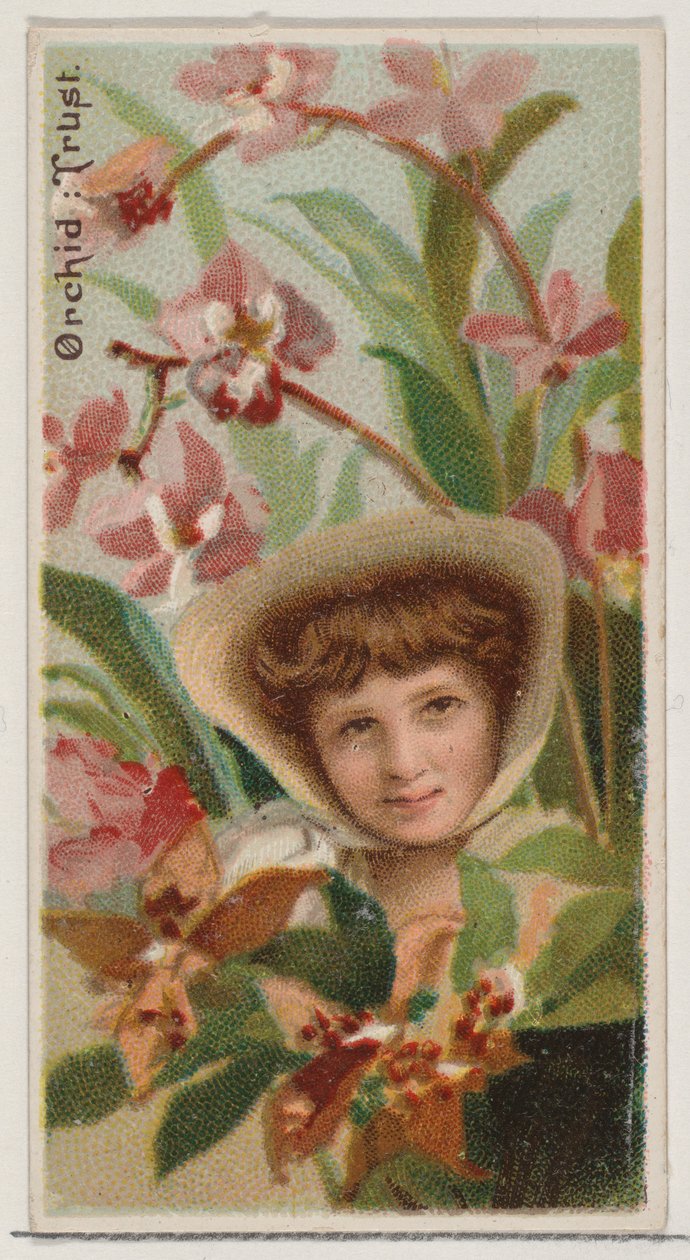 Orchid: Trust, sarjasta Floral Beauties and Language of Flowers N75 for Duke bran..., 1892. tekijältä Donaldson Brothers