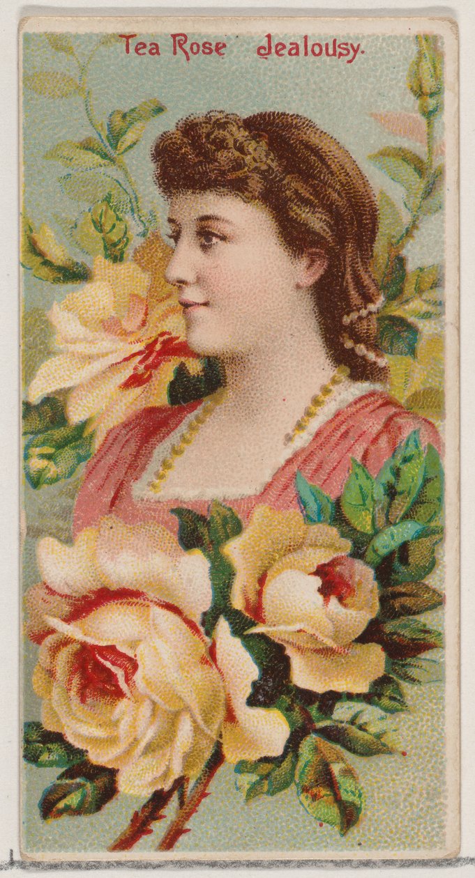 Tea Rose: Kateus, sarjasta Floral Beauties and Language of Flowers N75 for Duke..., 1892. tekijältä Donaldson Brothers
