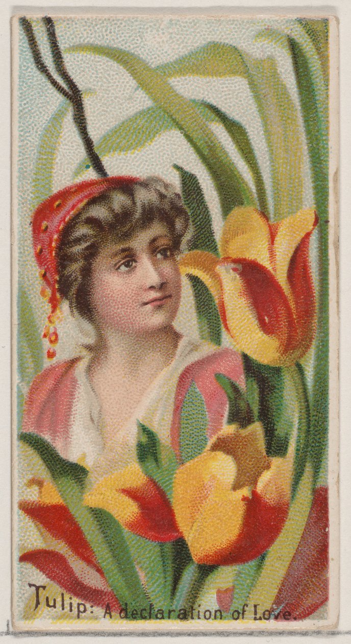 Tulppaani: Rakkauden julistus, sarjasta Floral Beauties and Language of Flowers N75..., 1892. tekijältä Donaldson Brothers