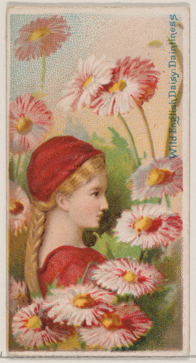 Wild English Daisy: Daintiness, sarjasta Floral Beauties and Language of Flowers N..., 1892. tekijältä Donaldson Brothers
