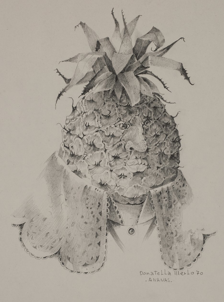 Ananas tekijältä Donatella Merlo