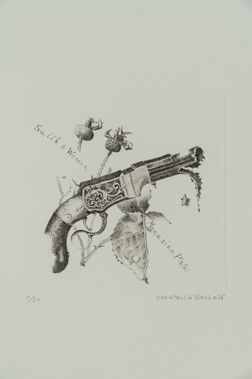 Smith and Wesson Magazine Pistol tekijältä Donatella Merlo