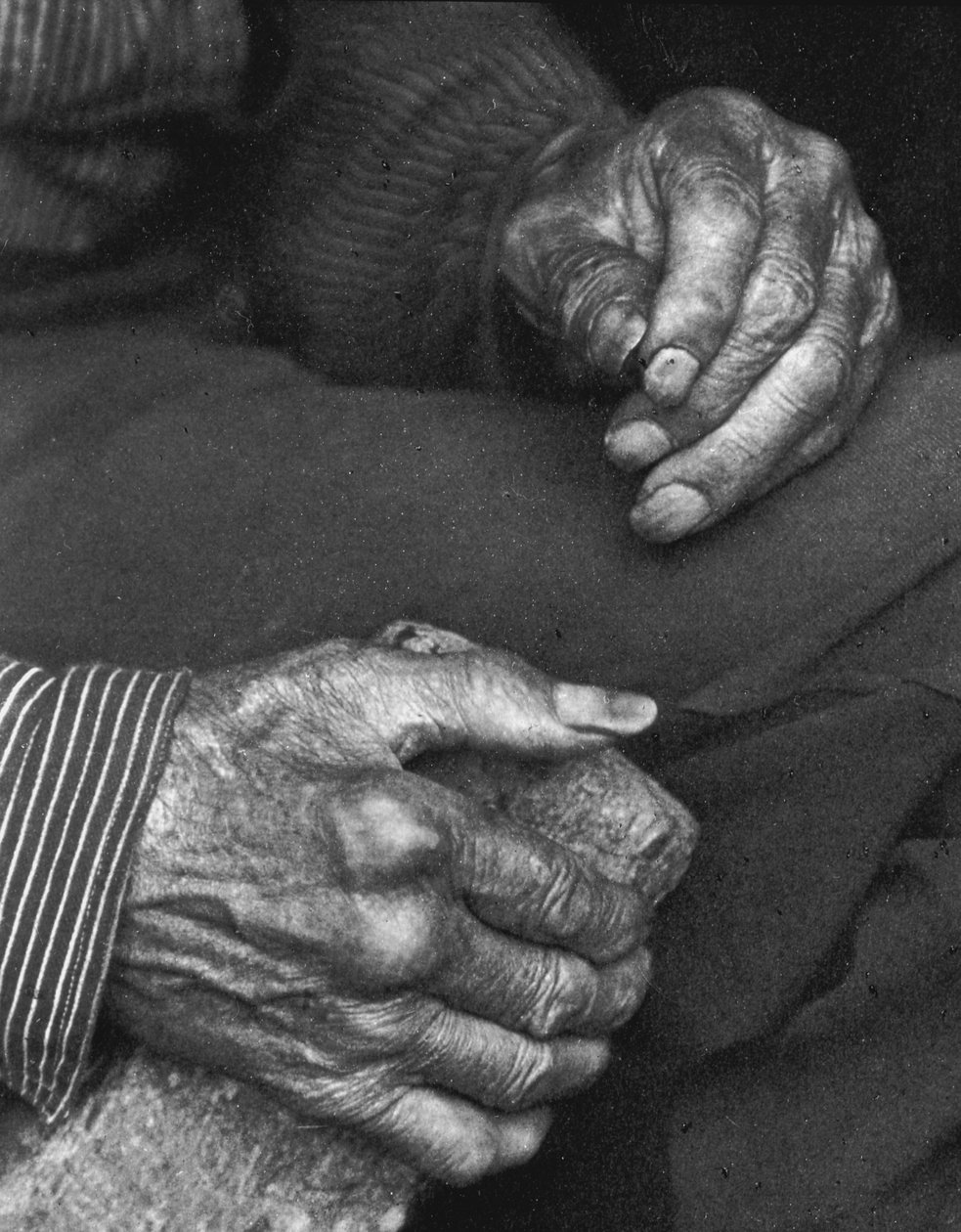 Työläisen kädet, 1925 tekijältä Doris Ulmann