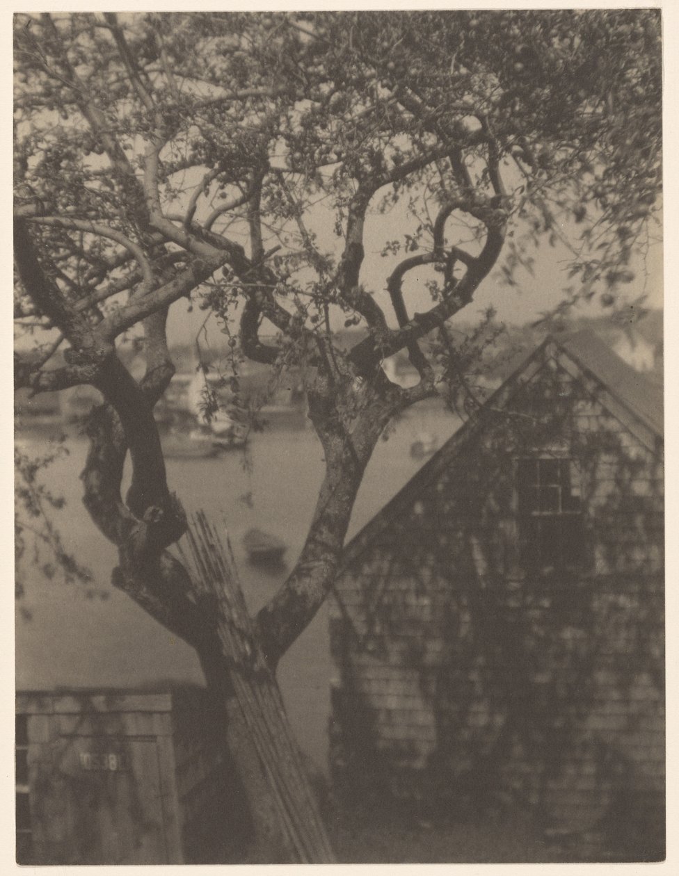 Satamakuva, luultavasti Gloucester, Massachusetts, Massachusetts tekijältä Doris Ulmann