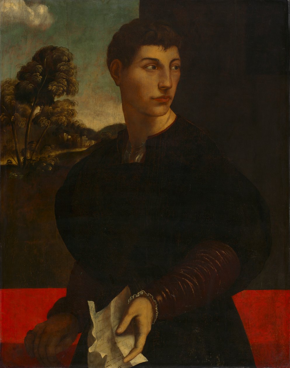 Nuoren miehen muotokuva, n. 1530 (öljy ja kulta puulla) tekijältä Dosso (follower of) Dossi