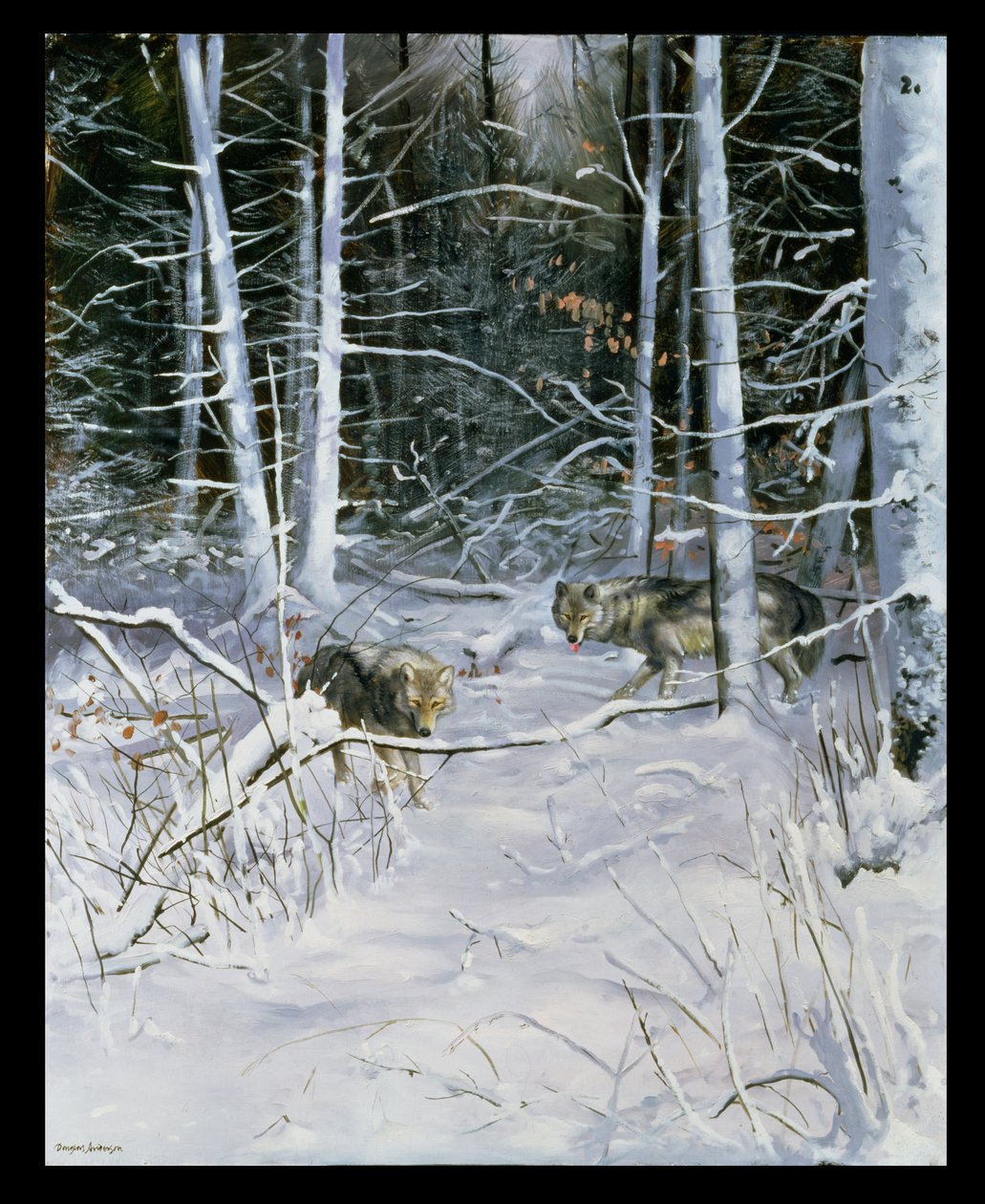 Sudet lumisessa metsässä tekijältä Douglas Anderson