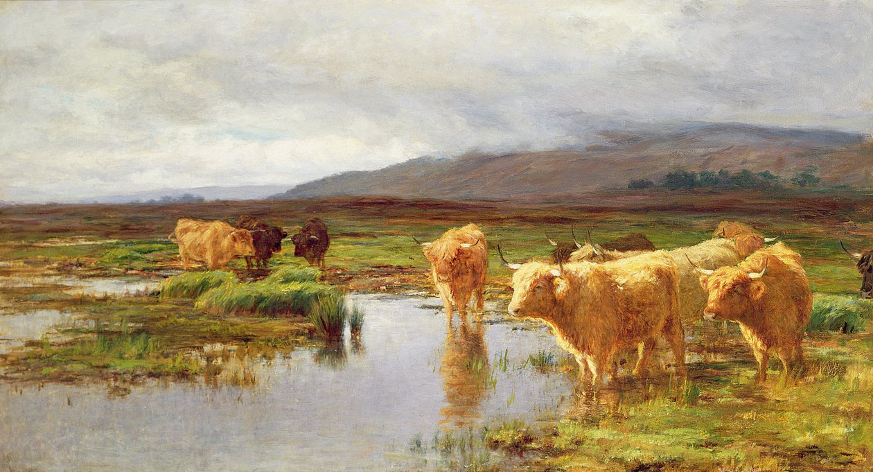 Moorlands and Mist tekijältä Duncan McLaurin