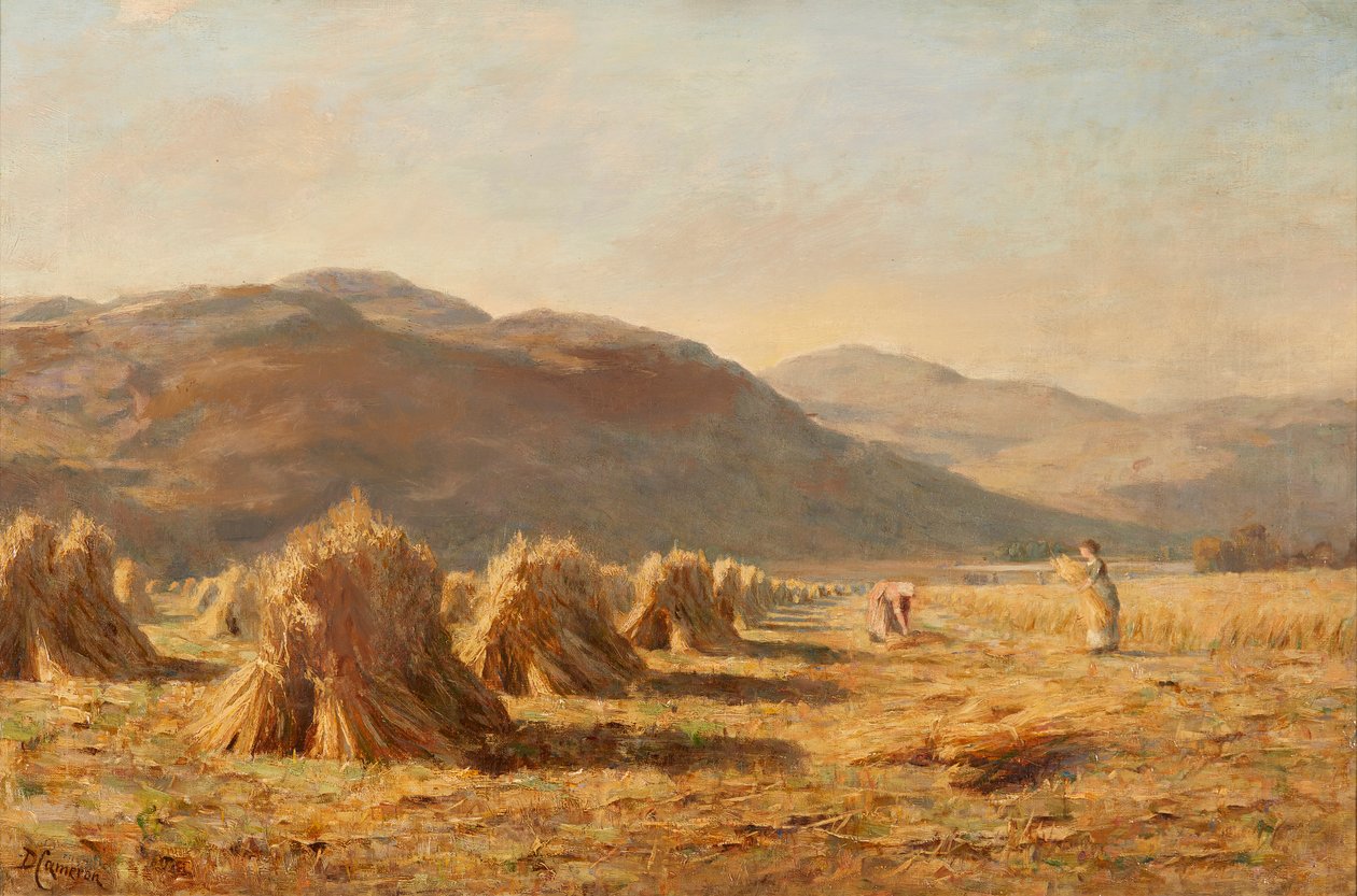 Sadonkorjuu lähellä Dumyat, Ochil Hills (öljy kankaalle) tekijältä Duncan Cameron